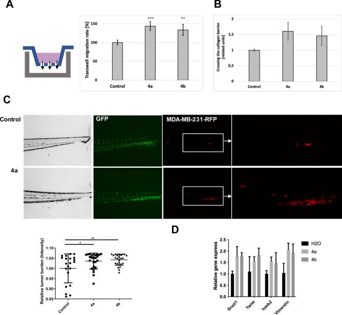 https://cdn.ncbi.nlm.nih.gov/pmc/blobs/37cc/11161507/5f4eff26abed/41598_2024_63759_Fig6_HTML.jpg