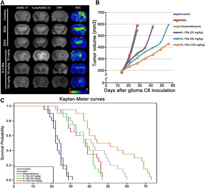 https://cdn.ncbi.nlm.nih.gov/pmc/blobs/37cc/4309733/a114aa125780/gr3.jpg