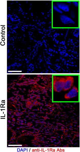 https://cdn.ncbi.nlm.nih.gov/pmc/blobs/37cc/4309733/c2799ec57487/gr1.jpg