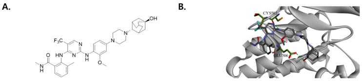 https://cdn.ncbi.nlm.nih.gov/pmc/blobs/37ce/10528299/3c40b5573ad5/cimb-45-00446-g001.jpg