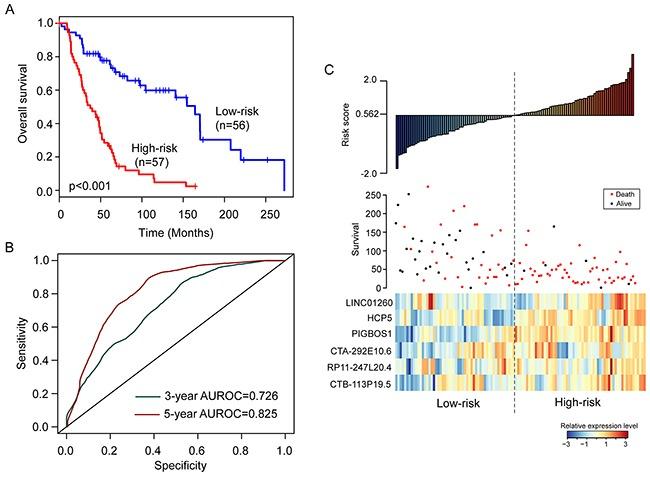 https://cdn.ncbi.nlm.nih.gov/pmc/blobs/37ce/5652813/2bd08c0ed39c/oncotarget-08-77761-g001.jpg
