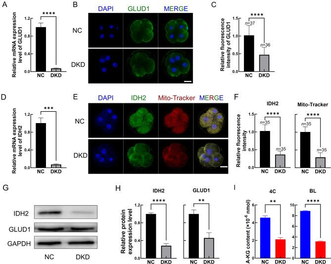 https://cdn.ncbi.nlm.nih.gov/pmc/blobs/37cf/11668942/5be2df2507d5/zr-45-6-1175-2.jpg