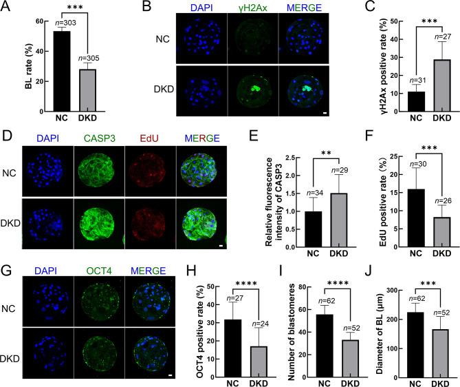 https://cdn.ncbi.nlm.nih.gov/pmc/blobs/37cf/11668942/ace2ba256f62/zr-45-6-1175-4.jpg
