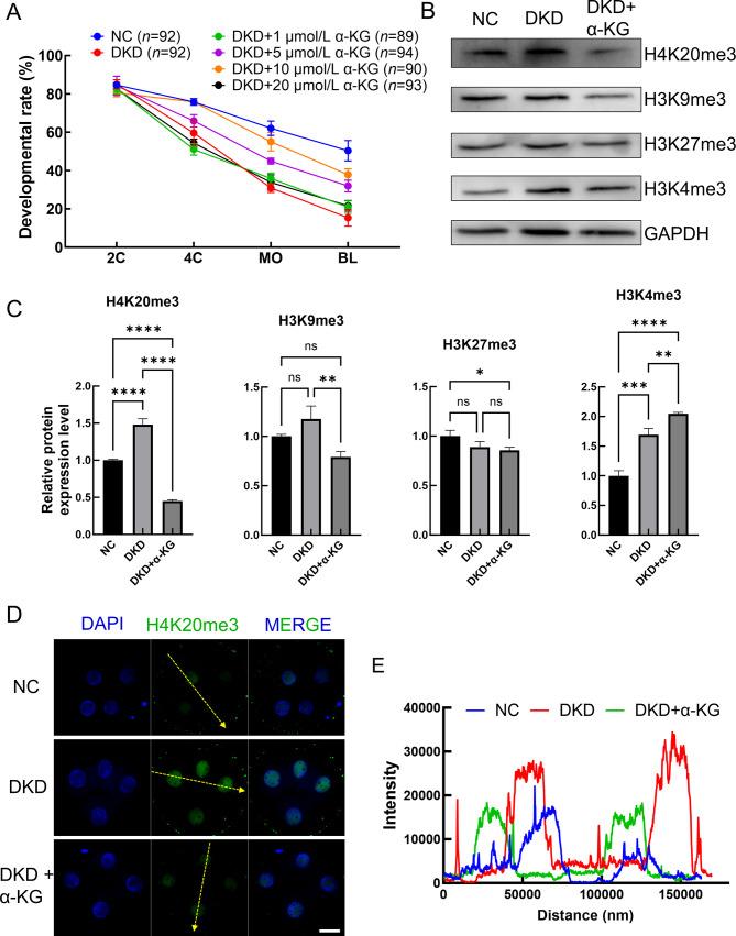 https://cdn.ncbi.nlm.nih.gov/pmc/blobs/37cf/11668942/c6e33b2cf9be/zr-45-6-1175-5.jpg