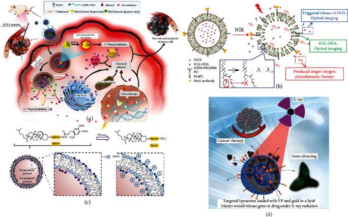 https://cdn.ncbi.nlm.nih.gov/pmc/blobs/37d2/9680525/27c0f23f5937/RESEARCH2022-9808429.005.jpg