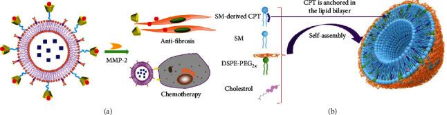 https://cdn.ncbi.nlm.nih.gov/pmc/blobs/37d2/9680525/be9fd2c785fb/RESEARCH2022-9808429.009.jpg
