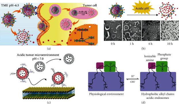 https://cdn.ncbi.nlm.nih.gov/pmc/blobs/37d2/9680525/cce8468e1f0f/RESEARCH2022-9808429.007.jpg