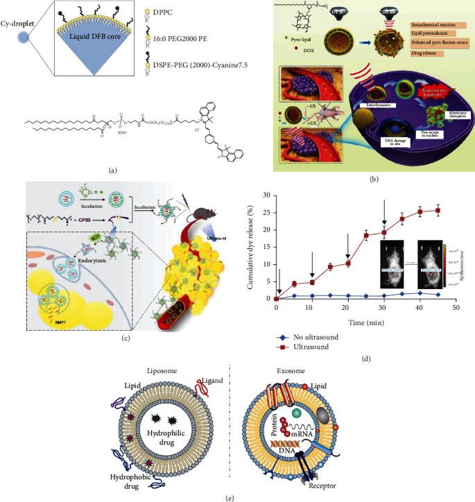 https://cdn.ncbi.nlm.nih.gov/pmc/blobs/37d2/9680525/d2e5cbb882b0/RESEARCH2022-9808429.004.jpg