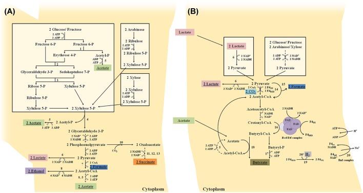 https://cdn.ncbi.nlm.nih.gov/pmc/blobs/37d4/4923077/7094c30db827/fmicb-07-00979-g0002.jpg