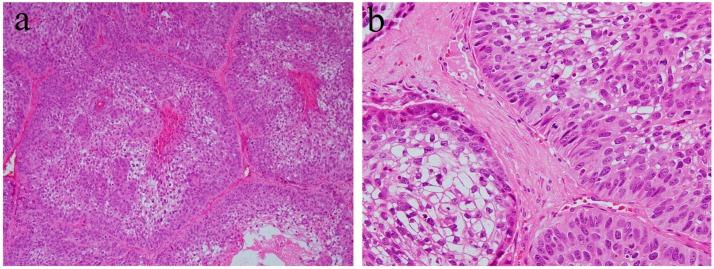 https://cdn.ncbi.nlm.nih.gov/pmc/blobs/37d5/6514842/feea50c9d236/ijms-20-01973-g006.jpg