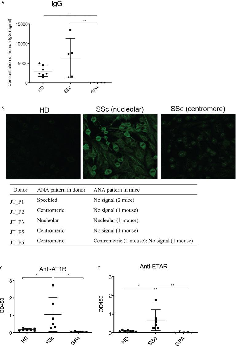 https://cdn.ncbi.nlm.nih.gov/pmc/blobs/37d5/8261241/5a3b9b0018ef/fimmu-12-677970-g002.jpg