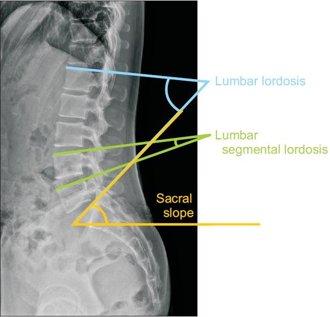 https://cdn.ncbi.nlm.nih.gov/pmc/blobs/37d6/8435469/8122fa01bd91/arm-21037f1.jpg