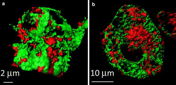 https://cdn.ncbi.nlm.nih.gov/pmc/blobs/37d7/10717822/483a2160fb38/12576_2014_326_Fig3_HTML.jpg