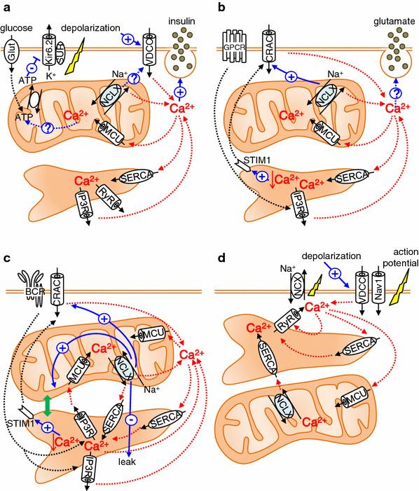 https://cdn.ncbi.nlm.nih.gov/pmc/blobs/37d7/10717822/8b4d911f336d/12576_2014_326_Fig4_HTML.jpg