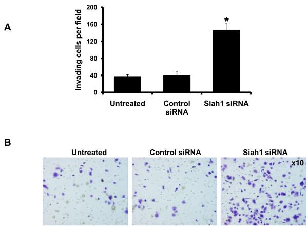 https://cdn.ncbi.nlm.nih.gov/pmc/blobs/37d7/2921397/506a9d9500e8/1471-2407-10-403-8.jpg