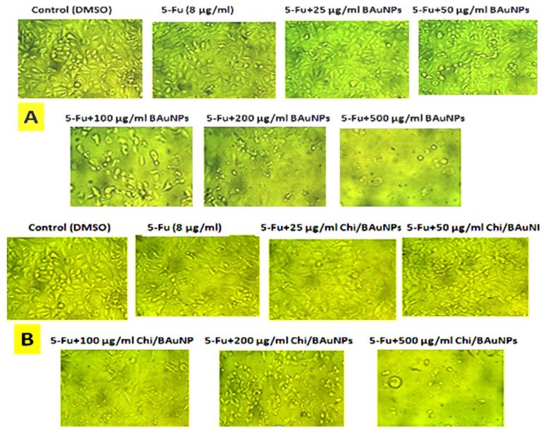 https://cdn.ncbi.nlm.nih.gov/pmc/blobs/37d9/10707927/1050501cea4e/molecules-28-07762-g010.jpg