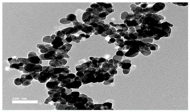 https://cdn.ncbi.nlm.nih.gov/pmc/blobs/37d9/10707927/3d202d76d478/molecules-28-07762-g003.jpg