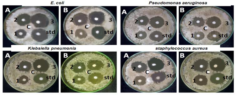 https://cdn.ncbi.nlm.nih.gov/pmc/blobs/37d9/10707927/c0807a880c24/molecules-28-07762-g008.jpg