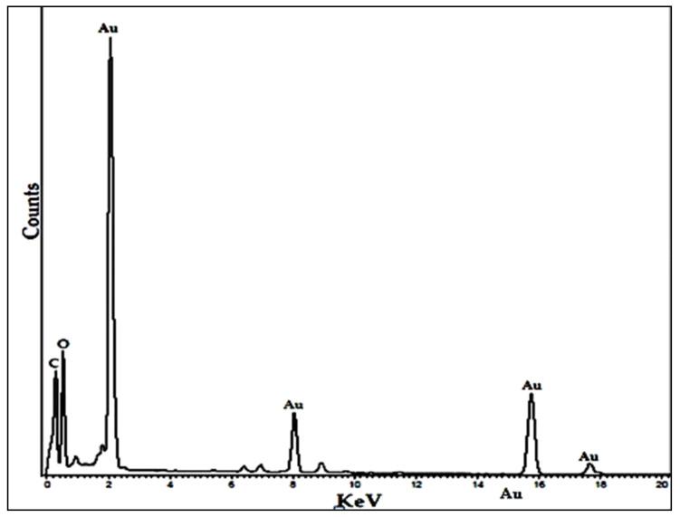 https://cdn.ncbi.nlm.nih.gov/pmc/blobs/37d9/10707927/e4dd621b6e10/molecules-28-07762-g004.jpg