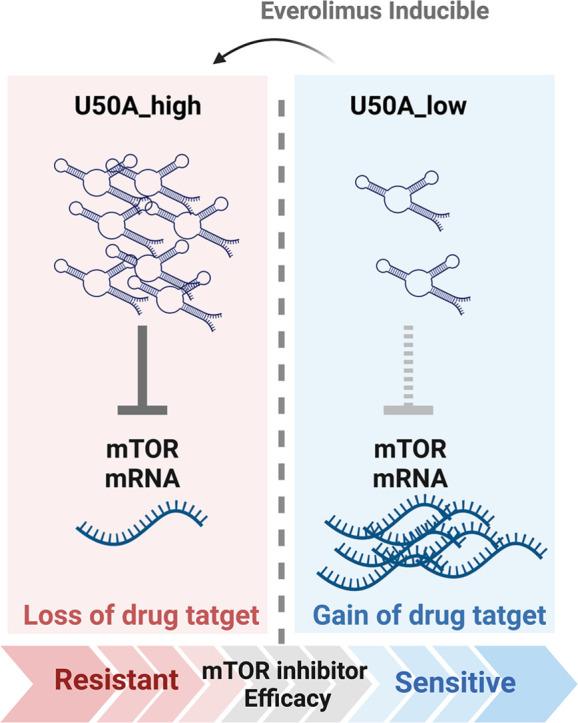 https://cdn.ncbi.nlm.nih.gov/pmc/blobs/37da/11342273/993bce1d7835/ga1.jpg