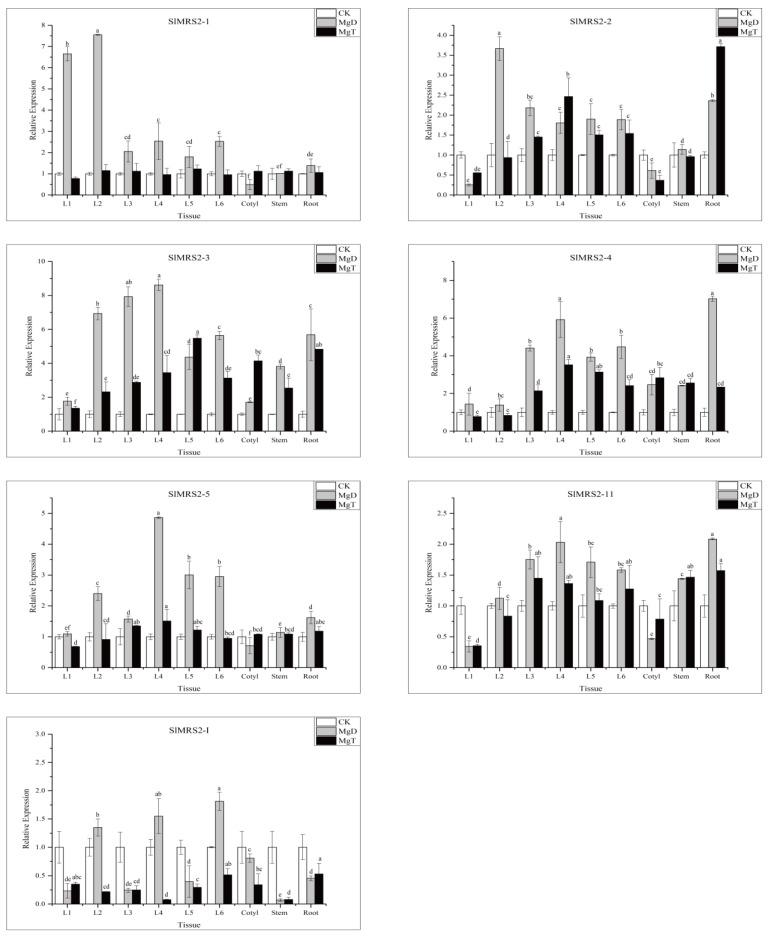 https://cdn.ncbi.nlm.nih.gov/pmc/blobs/37db/10347230/4b5898941e1a/plants-12-02512-g010.jpg