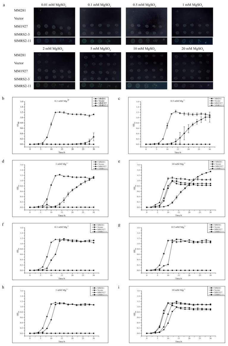 https://cdn.ncbi.nlm.nih.gov/pmc/blobs/37db/10347230/bfc248ffbb48/plants-12-02512-g011.jpg