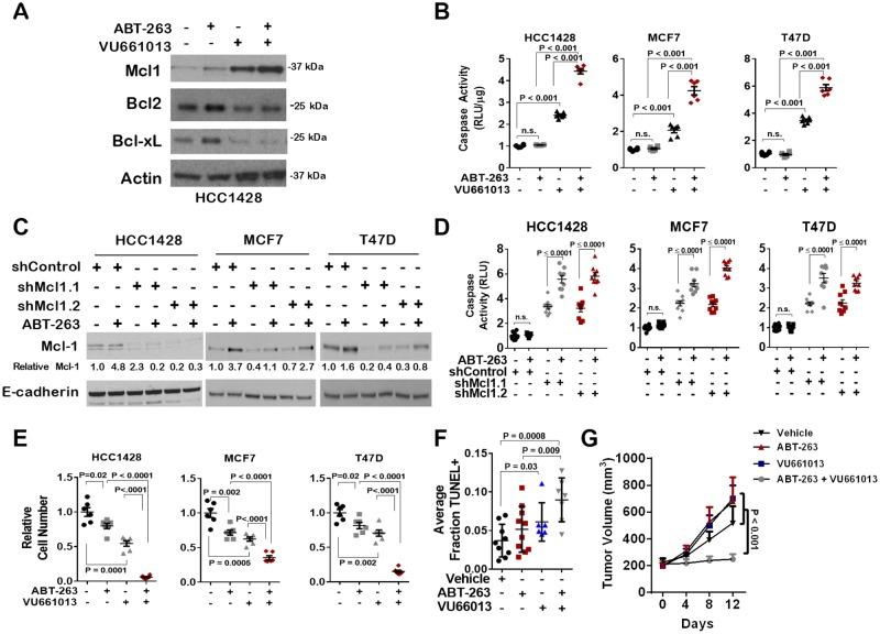 https://cdn.ncbi.nlm.nih.gov/pmc/blobs/37db/6739218/4ab286e123fd/oncotarget-10-5389-g005.jpg