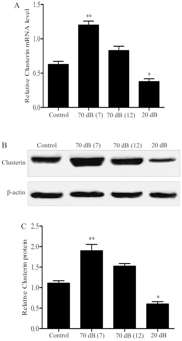 https://cdn.ncbi.nlm.nih.gov/pmc/blobs/37dc/4314421/9d0a04a5addf/IJMM-35-03-0637-g01.jpg
