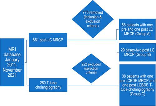 https://cdn.ncbi.nlm.nih.gov/pmc/blobs/37dc/9889197/4f188c3a609a/sle-33-62-g001.jpg