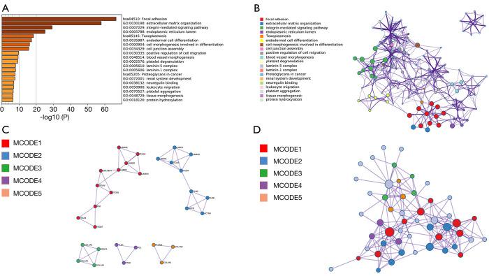 https://cdn.ncbi.nlm.nih.gov/pmc/blobs/37df/8799138/3edb9a5cc6e5/tcr-09-09-5218-f6.jpg