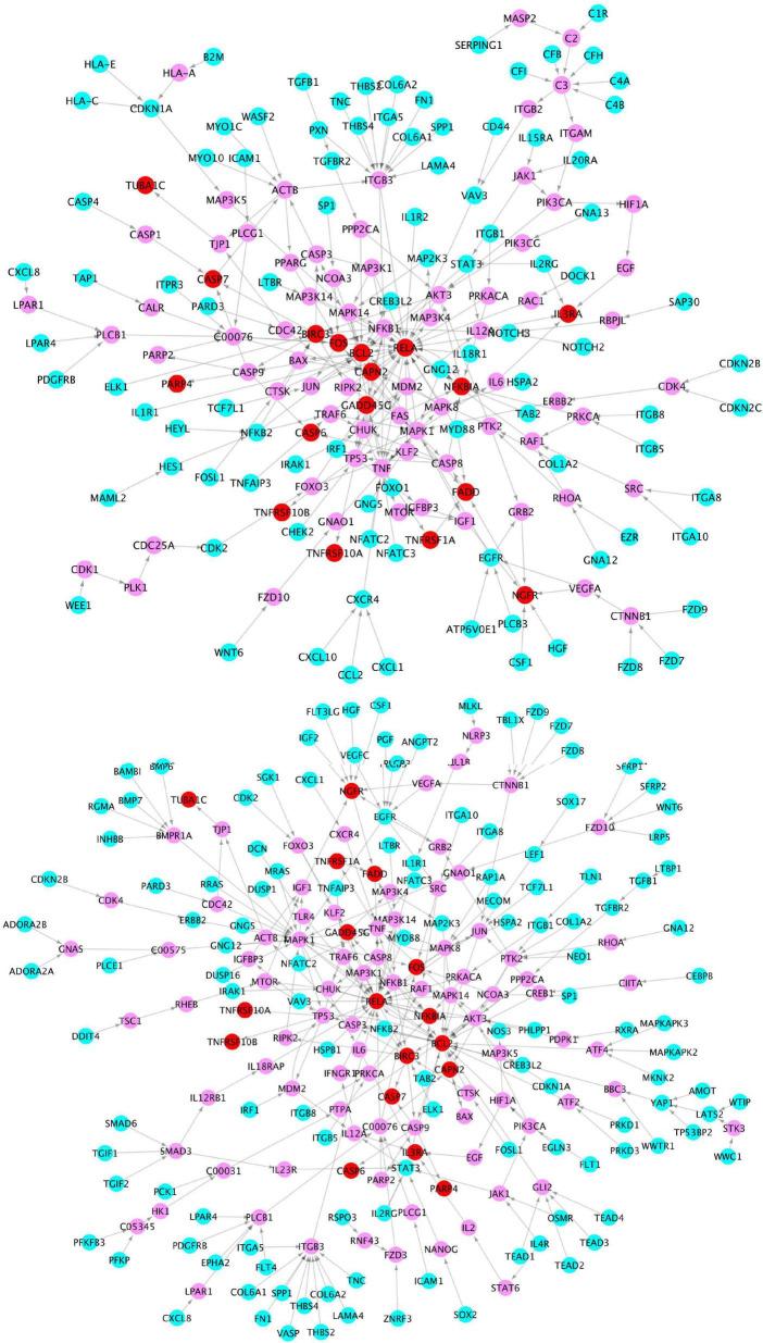 https://cdn.ncbi.nlm.nih.gov/pmc/blobs/37df/9551568/2b10224fc83d/fnagi-14-935279-g005.jpg