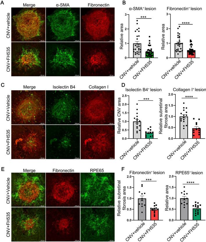 https://cdn.ncbi.nlm.nih.gov/pmc/blobs/37e0/10967154/1256e94f0d98/12974_2024_3068_Fig2_HTML.jpg