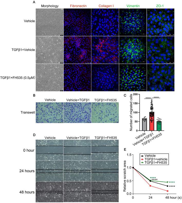 https://cdn.ncbi.nlm.nih.gov/pmc/blobs/37e0/10967154/9ca99a5afea7/12974_2024_3068_Fig5_HTML.jpg
