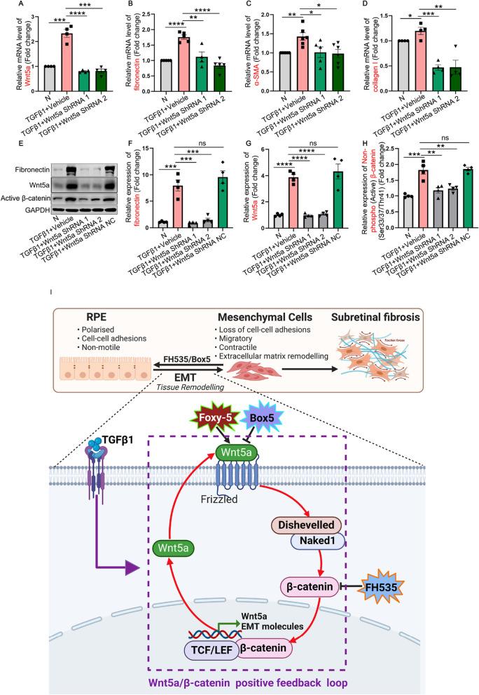 https://cdn.ncbi.nlm.nih.gov/pmc/blobs/37e0/10967154/9cbb52d5cffe/12974_2024_3068_Fig8_HTML.jpg
