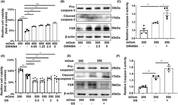 https://cdn.ncbi.nlm.nih.gov/pmc/blobs/37e1/11106643/c1a9a610fb32/JCMM-28-e18409-g003.jpg