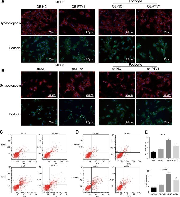 https://cdn.ncbi.nlm.nih.gov/pmc/blobs/37e1/6802617/356b58fd9bbb/12276_2019_259_Fig2_HTML.jpg