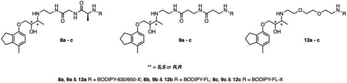 https://cdn.ncbi.nlm.nih.gov/pmc/blobs/37e1/8130569/bd9d8051d371/PRP2-9-e00779-g004.jpg