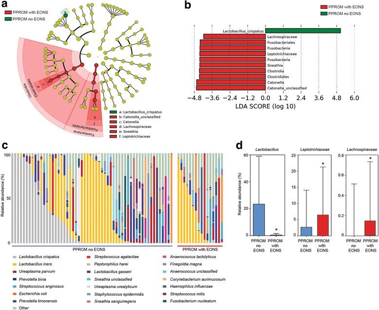 https://cdn.ncbi.nlm.nih.gov/pmc/blobs/37e3/5782380/4ba90d065d85/12916_2017_999_Fig5_HTML.jpg