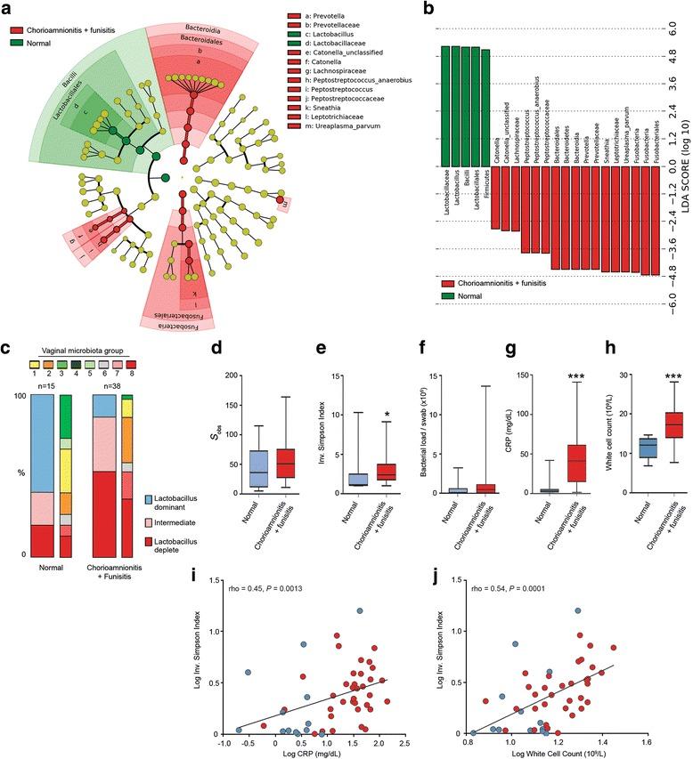https://cdn.ncbi.nlm.nih.gov/pmc/blobs/37e3/5782380/d2b4528a4391/12916_2017_999_Fig4_HTML.jpg