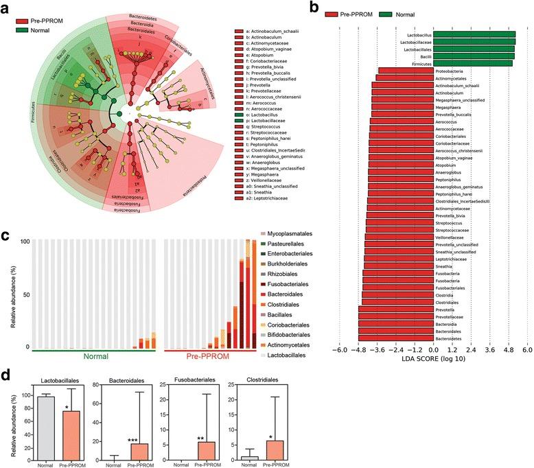https://cdn.ncbi.nlm.nih.gov/pmc/blobs/37e3/5782380/e00fad10aa5e/12916_2017_999_Fig2_HTML.jpg