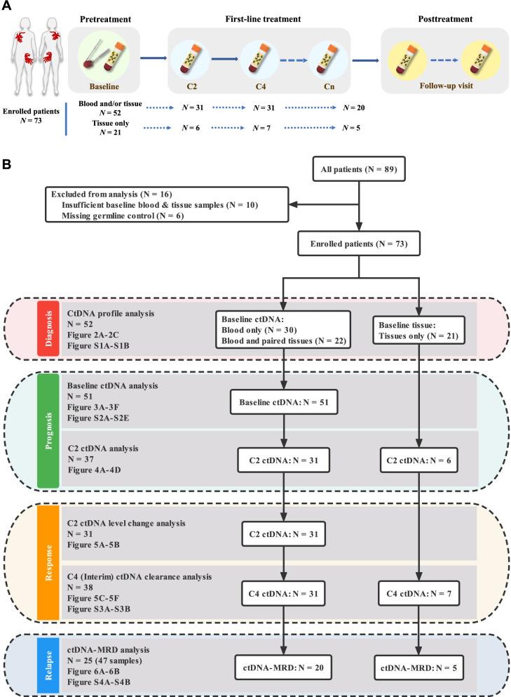 https://cdn.ncbi.nlm.nih.gov/pmc/blobs/37e4/9594942/0f2e540a9ed5/12916_2022_2562_Fig1_HTML.jpg