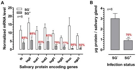 https://cdn.ncbi.nlm.nih.gov/pmc/blobs/37e6/2880569/3887d9308d5e/ppat.1000926.g001.jpg