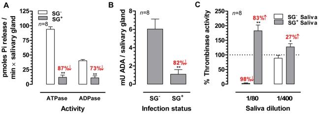 https://cdn.ncbi.nlm.nih.gov/pmc/blobs/37e6/2880569/d018c0e90c9f/ppat.1000926.g003.jpg