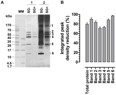 https://cdn.ncbi.nlm.nih.gov/pmc/blobs/37e6/2880569/e67b564dead2/ppat.1000926.g002.jpg