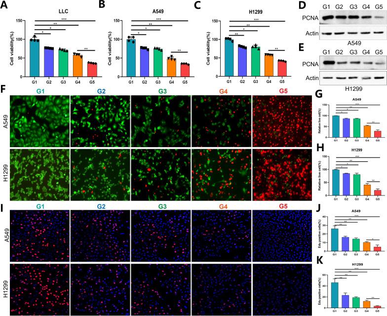 https://cdn.ncbi.nlm.nih.gov/pmc/blobs/37e7/12131836/0adf5a6f4d2e/12951_2025_3428_Fig3_HTML.jpg