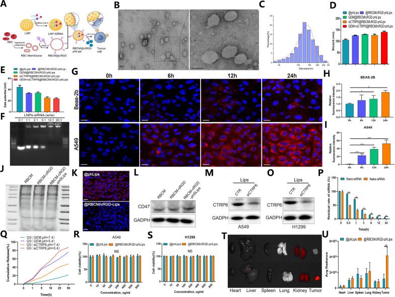https://cdn.ncbi.nlm.nih.gov/pmc/blobs/37e7/12131836/4bdf23254835/12951_2025_3428_Fig2_HTML.jpg