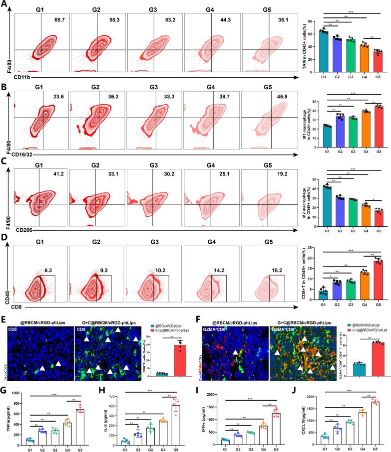 https://cdn.ncbi.nlm.nih.gov/pmc/blobs/37e7/12131836/61de14e1b840/12951_2025_3428_Fig8_HTML.jpg