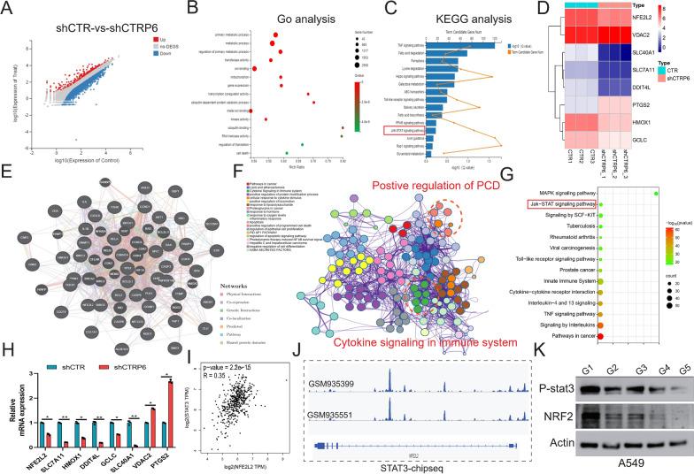 https://cdn.ncbi.nlm.nih.gov/pmc/blobs/37e7/12131836/8ba0aec72bd0/12951_2025_3428_Fig5_HTML.jpg