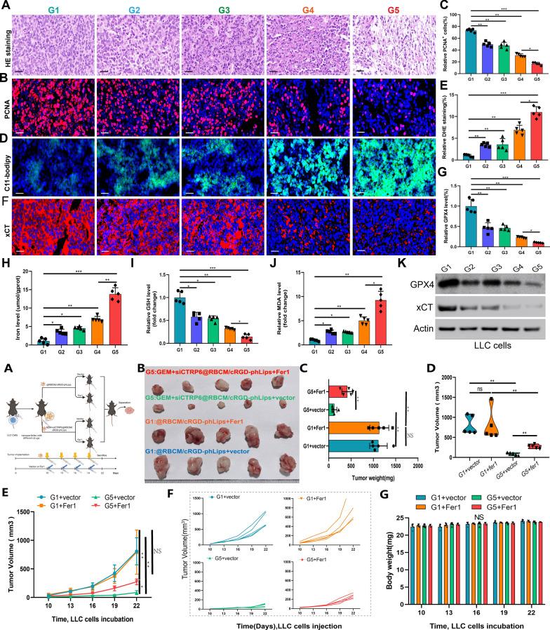 https://cdn.ncbi.nlm.nih.gov/pmc/blobs/37e7/12131836/bc507c68c466/12951_2025_3428_Fig7_HTML.jpg
