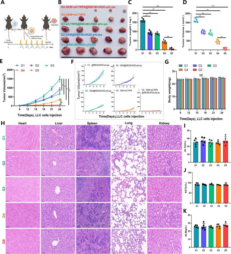 https://cdn.ncbi.nlm.nih.gov/pmc/blobs/37e7/12131836/c050ac422662/12951_2025_3428_Fig6_HTML.jpg